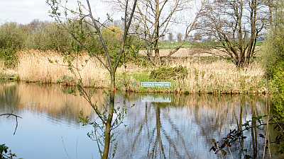 20100419_hoeven_geduldvangtvis